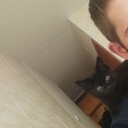 ���������� �����������, ���� ������� ���������, 29 ���, ������������ ��� ������, ����� � ���������