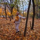 ���������� ������, ���� ������� ������, 40 ���, ������������ ��� ������, ����� � ���������, c�������� ���������