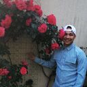 ���������� ����, ���� ������� ������, 29 ���, ������������ ��� ������, ����� � ���������