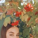 ���������� ������-��-����, ���� ������� ��������, 38 ���, ������������ ��� c�������� ���������