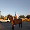 ���������� �����������, ���� ������� �����, 29 ���, ������������ ��� ������, ����� � ���������