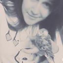 ���������� ������������, ���� ������� �����, 28 ���, ������������ ��� ������, ����� � ���������, c�������� ���������