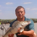 ���������� ������, ���� ������� � � � � �, 42 ����, ������������ ��� ����� � ���������, c�������� ���������