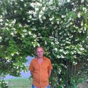 ���������� �����, ���� ������� �����, 55 ���, ������������ ��� ������, ����� � ���������, c�������� ���������