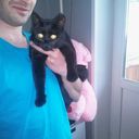  ,   , 40 ,   ,   , c 