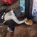 ���������� ���������, ���� ������� �����, 27 ���, ������������ ��� ������, ����� � ���������