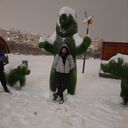 ���������� �����������, ���� ������� ������, 33 ����, ������������ ��� ������, ����� � ���������