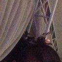 ���������� ���������, ���� ������� ������, 29 ���, ������������ ��� ������, ����� � ���������, c�������� ���������