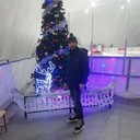 ���������� ����������, ���� ������� ������, 42 ����, ������������ ��� ������, ����� � ���������, c�������� ���������