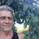  ,   , 72 ,   ,   