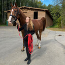 ���������� ������, ���� ������� ������, 45 ���, ������������ ��� ������, ����� � ���������, c�������� ���������