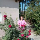  ,   , 49 ,   ,   