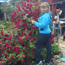  ,   , 40 ,   ,   , c 