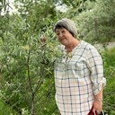  ,   , 65 ,   , 