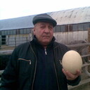  ,   , 65 ,   ,   , c 