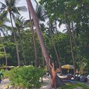 ���������� ������-��-����, ���� ������� ���������, 28 ���, ������������ ��� ����� � ���������, c�������� ���������