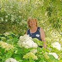 ���������� ��������, ���� ������� �����, 65 ���, ������������ ��� ����� � ���������, c�������� ���������