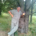  ,   Petor, 65 ,   
