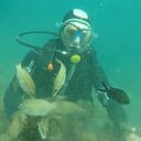 ���������� �����, ���� ������� ������, 38 ���, ������������ ��� ������, ����� � ���������, c�������� ���������