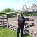 ���������� ��������, ���� ������� ������, 40 ���, ������������ ��� c�������� ���������