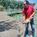 ���������� �������, ���� ������� ������, 41 ���, ������������ ��� ������, ����� � ���������, c�������� ���������