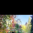 ���������� ������, ���� ������� ������, 31 ���, ������������ ��� c�������� ���������