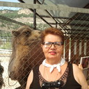 ���������� ������, ���� ������� ������, 66 ���, ������������ ��� ������, ����� � ���������, c�������� ���������