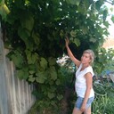 ���������� ������ ��������, ���� ������� �����, 47 ���, ������������ ��� ���������