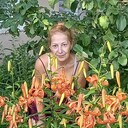 ���������� ������, ���� ������� �������, 54 ����, ������������ ��� c�������� ���������