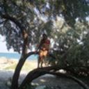  ,   , 32 ,  