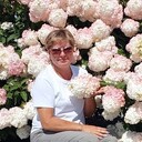  ,   , 61 ,   ,   