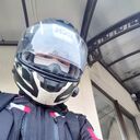  ,   DoberFox, 41 ,   ,   , 