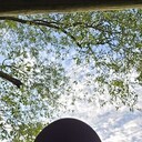 ���������� �����, ���� ������� �����, 49 ���, ������������ ��� ������, ����� � ���������, c�������� ���������