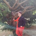  Sint-Truiden,   , 27 ,   c , 