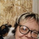 ���������� ������, ���� ������� ����, 48 ���, ������������ ��� c�������� ���������