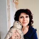 ���������� ���������, ���� ������� ����, 42 ����, ������������ ��� ����� � ���������, c�������� ���������