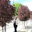  ,   , 62 ,   ,   , c 