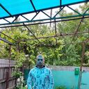  ,   Anton, 34 ,   ,   , c 