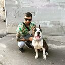 ���������� ������, ���� ������� Yusif, 30 ���, ������������ ��� ������, ����� � ���������, c�������� ���������