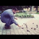 ���������� �����, ���� ������� �����, 36 ���, ������������ ��� ������, ����� � ���������