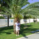  ,   , 67 ,     , c 
