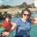 ���������� �����������, ���� ������� �, 51 ���, ������������ ��� ������, ����� � ���������, c�������� ���������