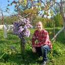 ���������� �����-���������, ���� ������� �����, 50 ���, ������������ ��� ������, ����� � ���������