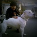  ,   Sahakyan, 31 ,   ,   , c 