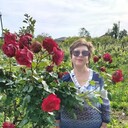 ���������� �����, ���� ������� �����, 57 ���, ������������ ��� ����� � ���������, c�������� ���������