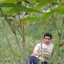  ,   , 37 ,   ,   , c , 