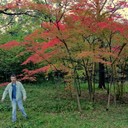 ���������� ������, ���� ������� ������, 55 ���, ������������ 