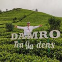  ,   , 50 ,   c 
