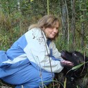 ���������� ���������, ���� ������� �������, 55 ���, ������������ ��� c�������� ���������