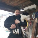 ���������� ������������, ���� ������� �������, 41 ���, ������������ ��� ������, ����� � ���������